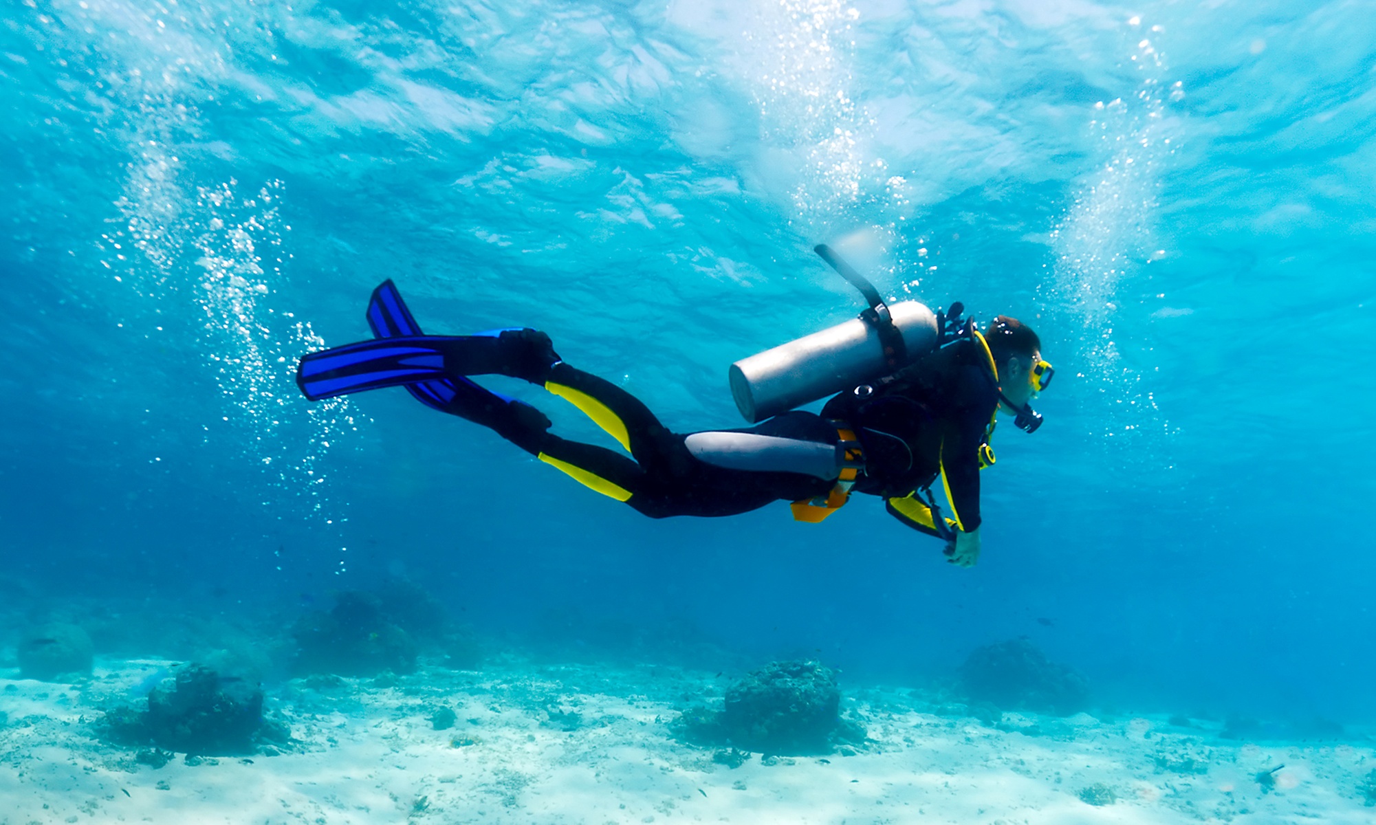 Discover Scuba Diving Class for 1, 2, or 4