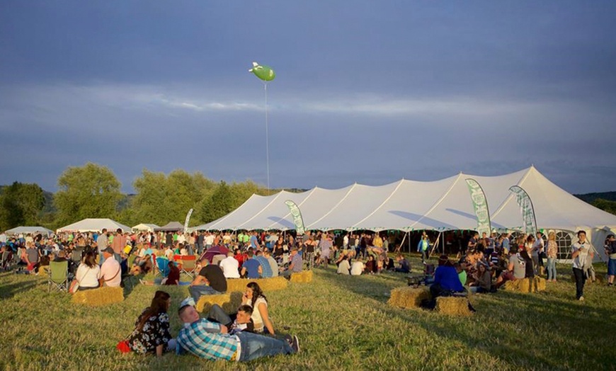 Image 5: The Witcombe Cider Festival