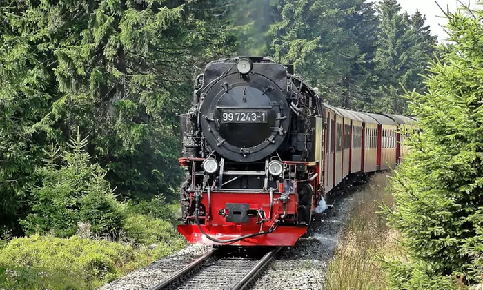 Harz: 2-5 Nächte für Zwei im Apartment inkl. Frühstück, opt. mit Dinner oder Sauna im Brockenblick Ferienpark - Primary Image