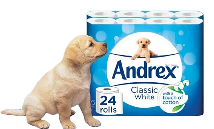 Image 2: 24 Rolls of Andrex Toilet Paper
