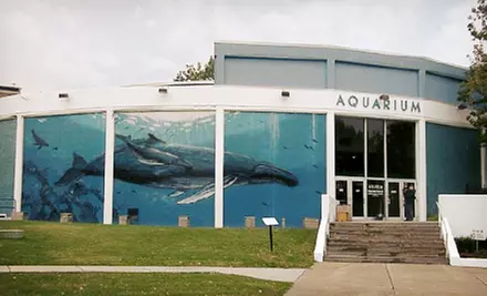 $25 for a One-Year Family Membership to Aquarium of Niagara ($50 Value) - Second Medium