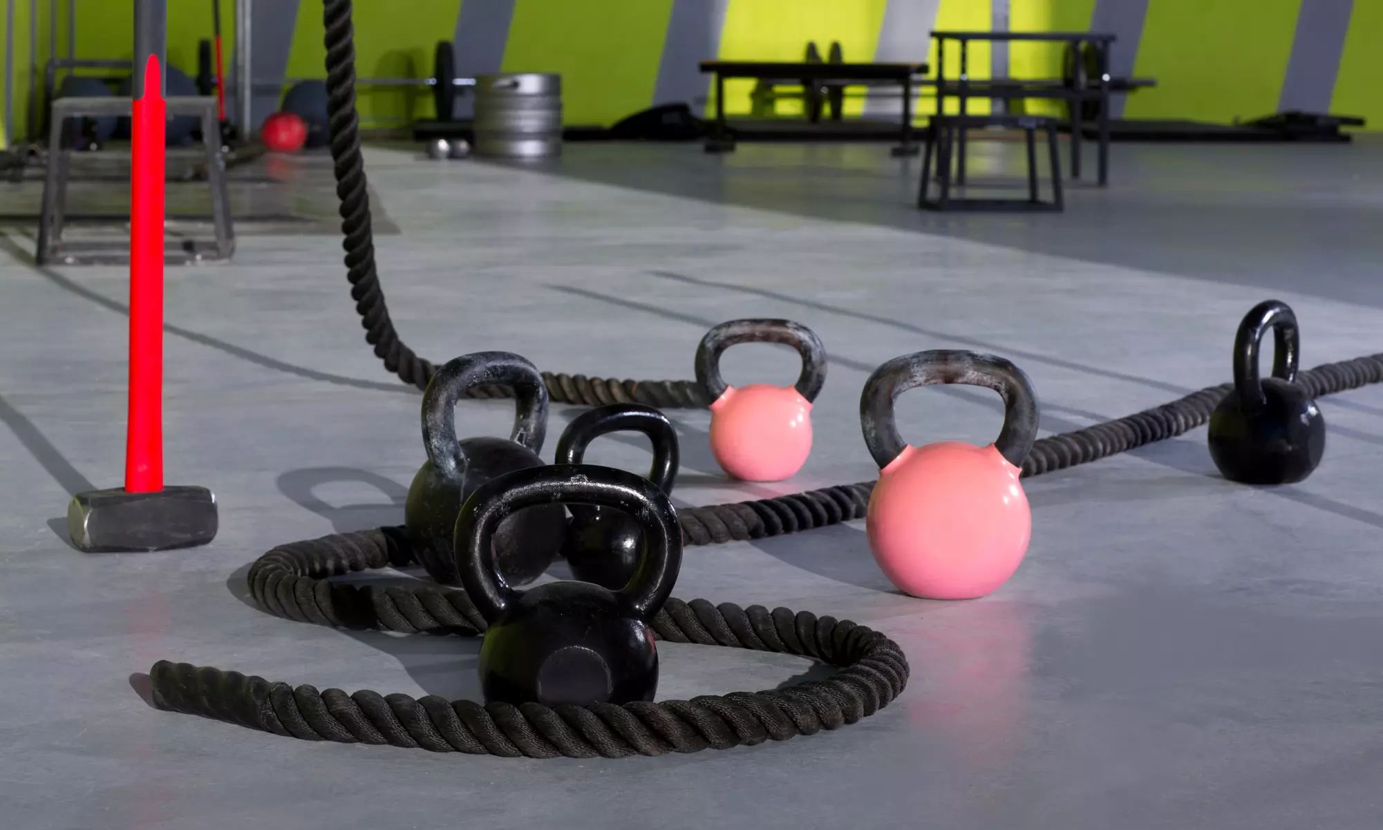 Discover Phenom Athletics' dynamic CrossFit classes options for up to 42% off. - Primary Image