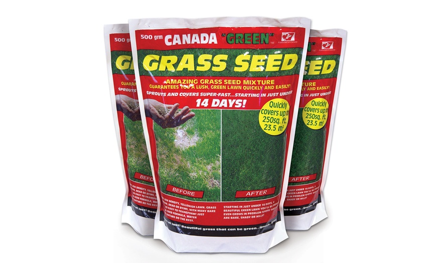 Image 1: 500g Canada Green Grass Seeds