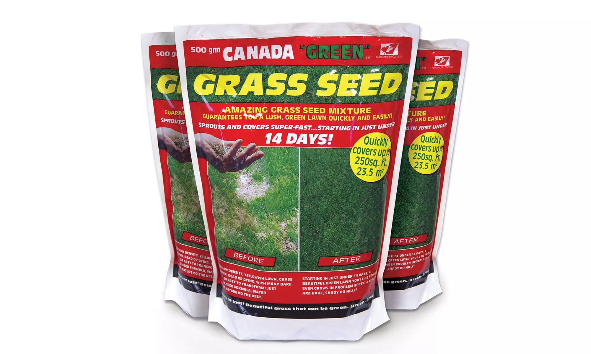 One, Two, Four or Six 500g Bags of Canada Green Grass Seeds - Primary Image