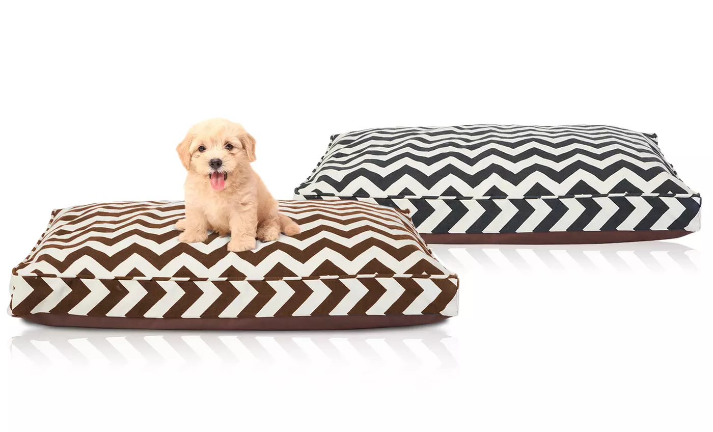 Animal Planet Memory-Foam Pet Beds - Primary Image