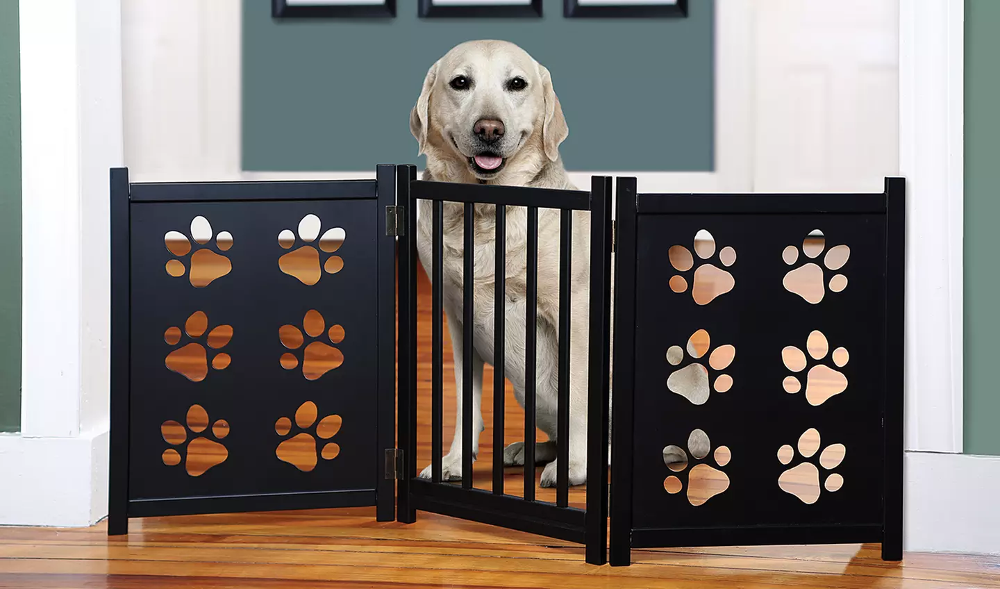 Adjustable Paw-Print Pet Gate - Primary Image