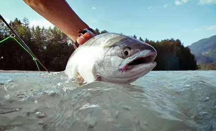 C$199 for a Four-Hour Sturgeon- or Salmon-Fishing Trip for Two from Lang's Fishing Adventures (C$500 Value) - Primary Image