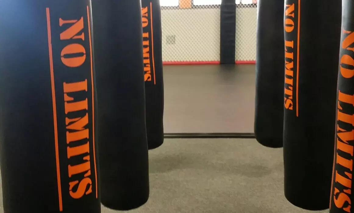 Four Weeks of Cardio Kickboxing Classes at No Limits Martial Arts & Fitness Gym (90% Off)  - Primary Image