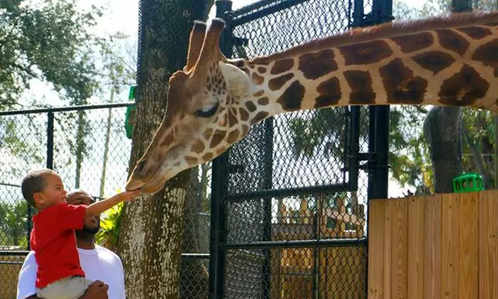 Admission for Two or Four at Central Florida Zoo & Botanical Gardens (Up to 29% Off) - Primary Image