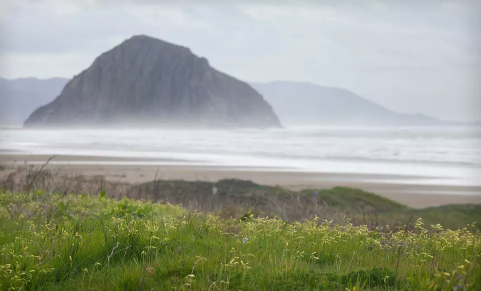 Two-Night Stay with Two Dinner Entrees and Bottle of Wine at Sea Pines Golf Resort in Los Osos, CA - Second Medium