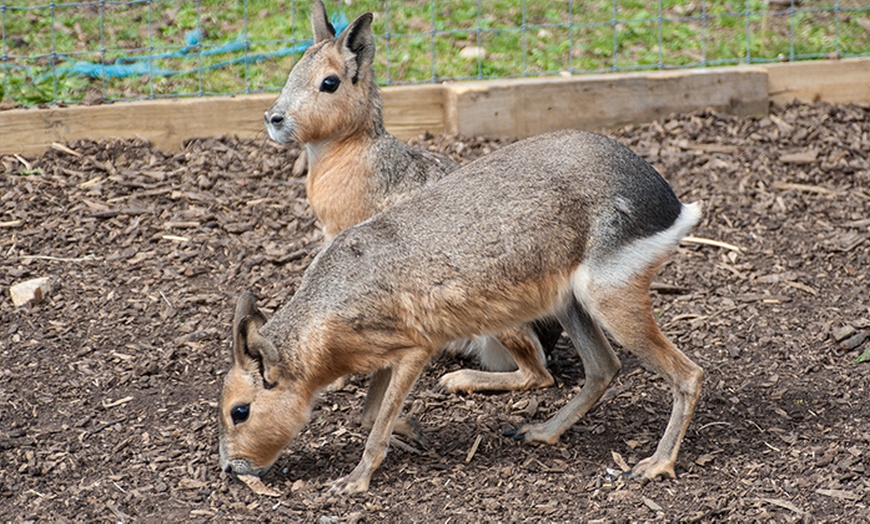 Image 6: Chew Valley Country Farm