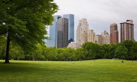 central park zoo groupon