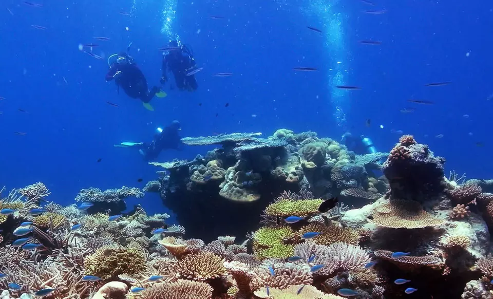 3-, 5-, or 7-Night Stay in a Villa at Palmetto Bay Plantation in Roatán, Honduras - Primary Image