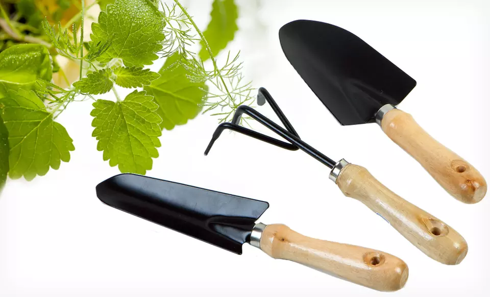 $10.99 for a ThinkTank Technology Three-Piece Garden Tool Set ($19.99 List Price). Free Returns. - Primary Image