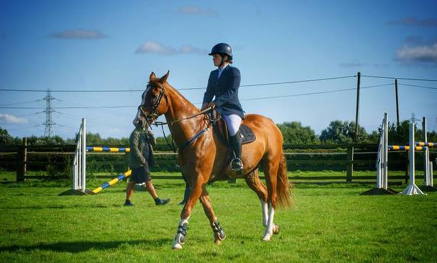 Image 1: 30-Minute Horse Riding Lesson