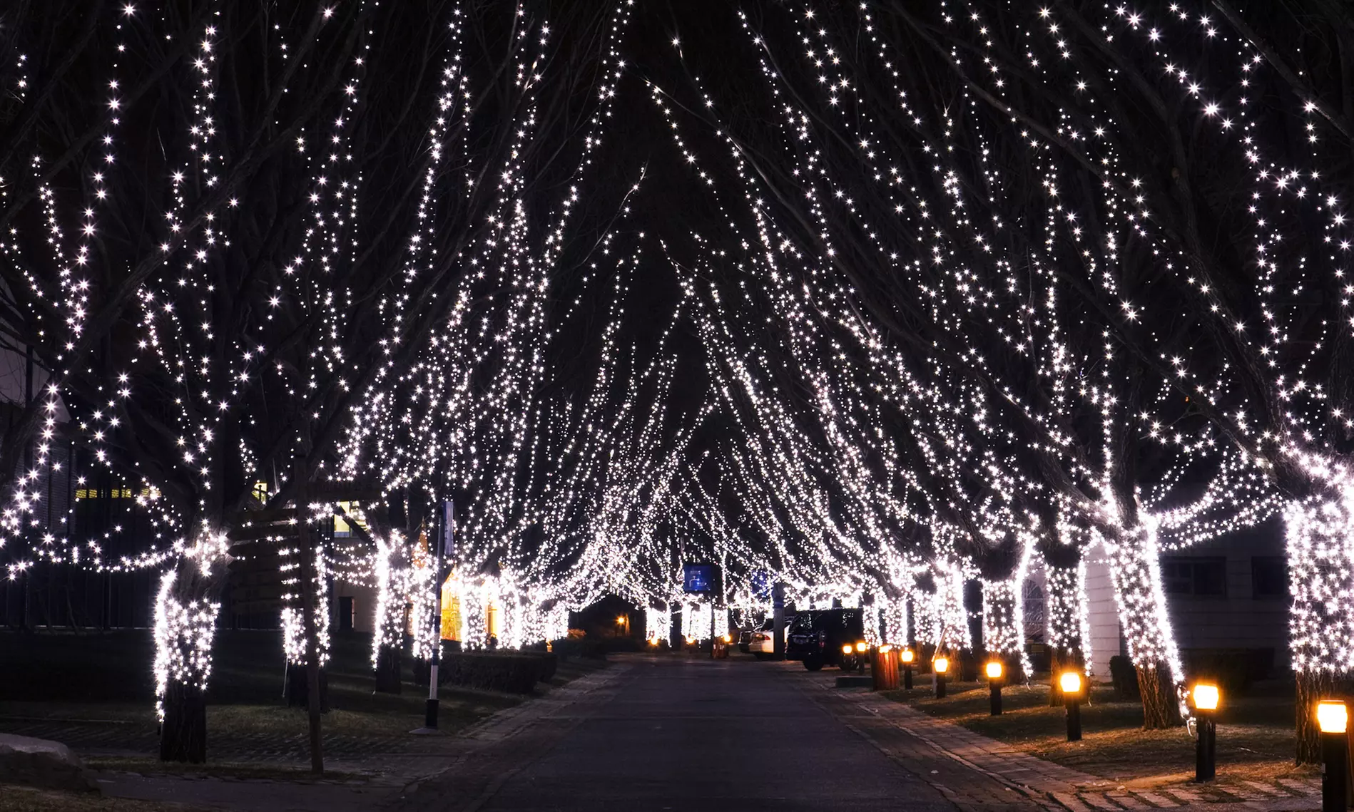 Liteup Solar-Powered 200-LED String Light - Primary Image