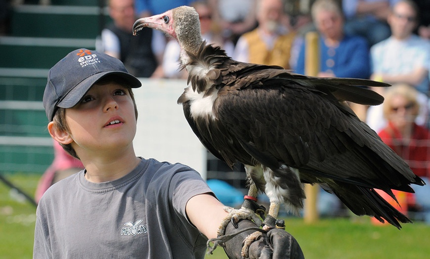 Image 9: Game and Country Fair Camping