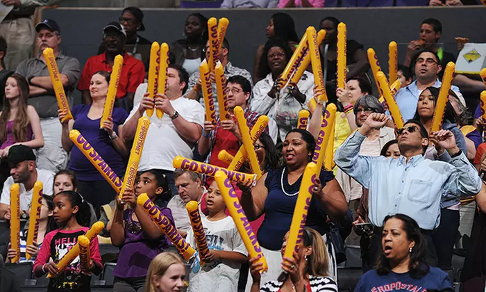 LA Sparks WNBA Game - Second Medium