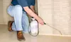 $79 for Interior and Exterior Pest-Control Services from Team Pest USA ($150 Value)