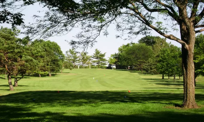 Golf Outing with Cart for Two or Four at Cedar Pointe Golf Course (Up to 52% Off) - Primary Image