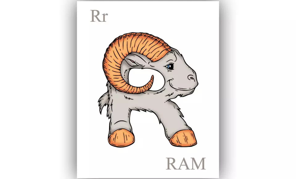Animal Alphabet Poster. Free Returns. - Second Medium