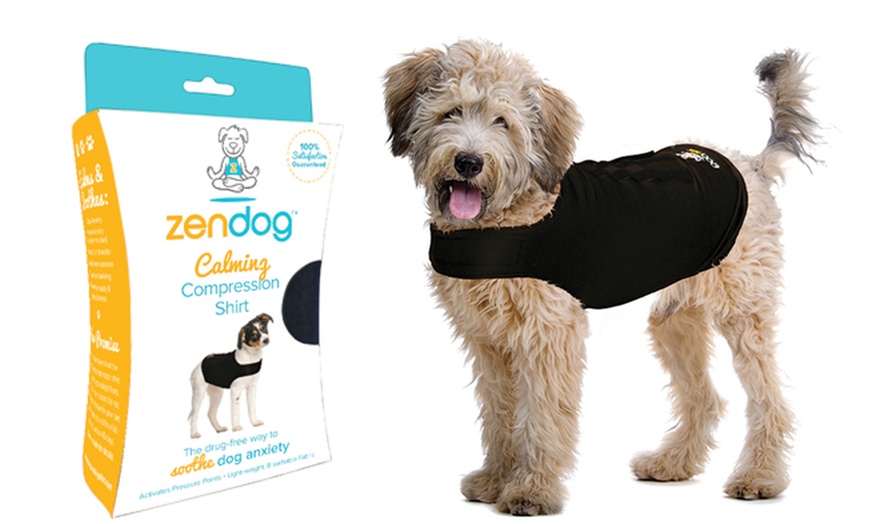 zendog calming compression shirt