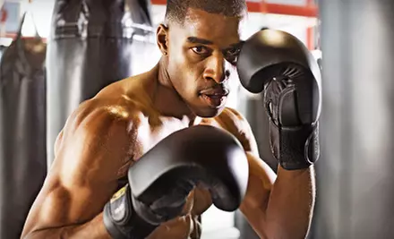 One or Three Months of Classes with T-Shirt and Use of Gear at Pine Ave DG Boxing (Up to 81% Off) - Primary Image