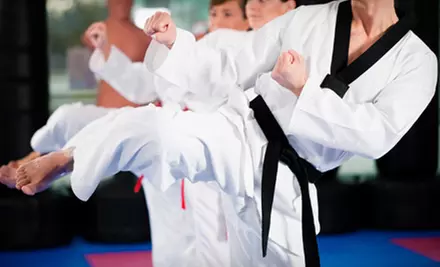 8 or 16 Martial-Arts or Kickboxing Classes for 1, or 1 Month of Classes for Family of 4 at American Dojo (Up to 84% Off) - Primary Image