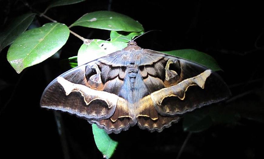 Image 4: The Butterfly House Entry for Two