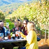 Image 6: Explore World Wines with $50, $100, or $200 Value Valid Toward Wine