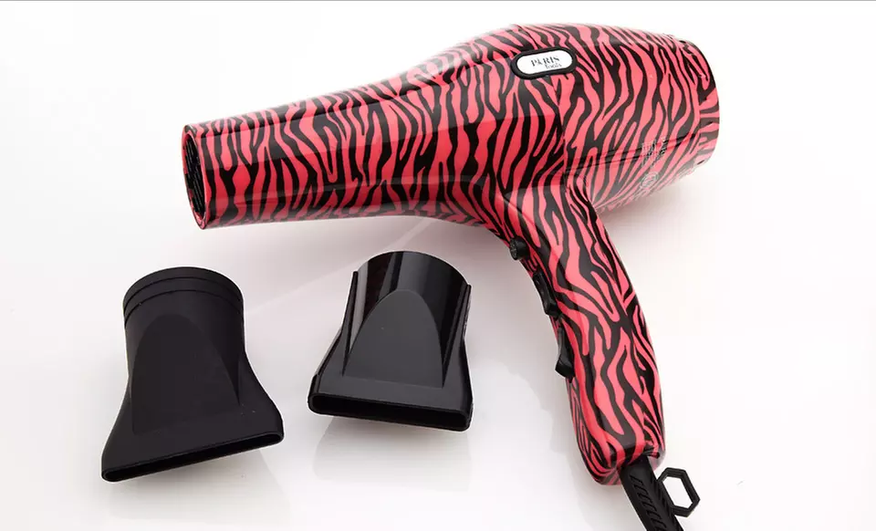 $29.99 for a Paris Tools Zebra-Print Ionic Hair Dryer ($139.99 List Price). Free Shipping and Free Returns. - Second Medium