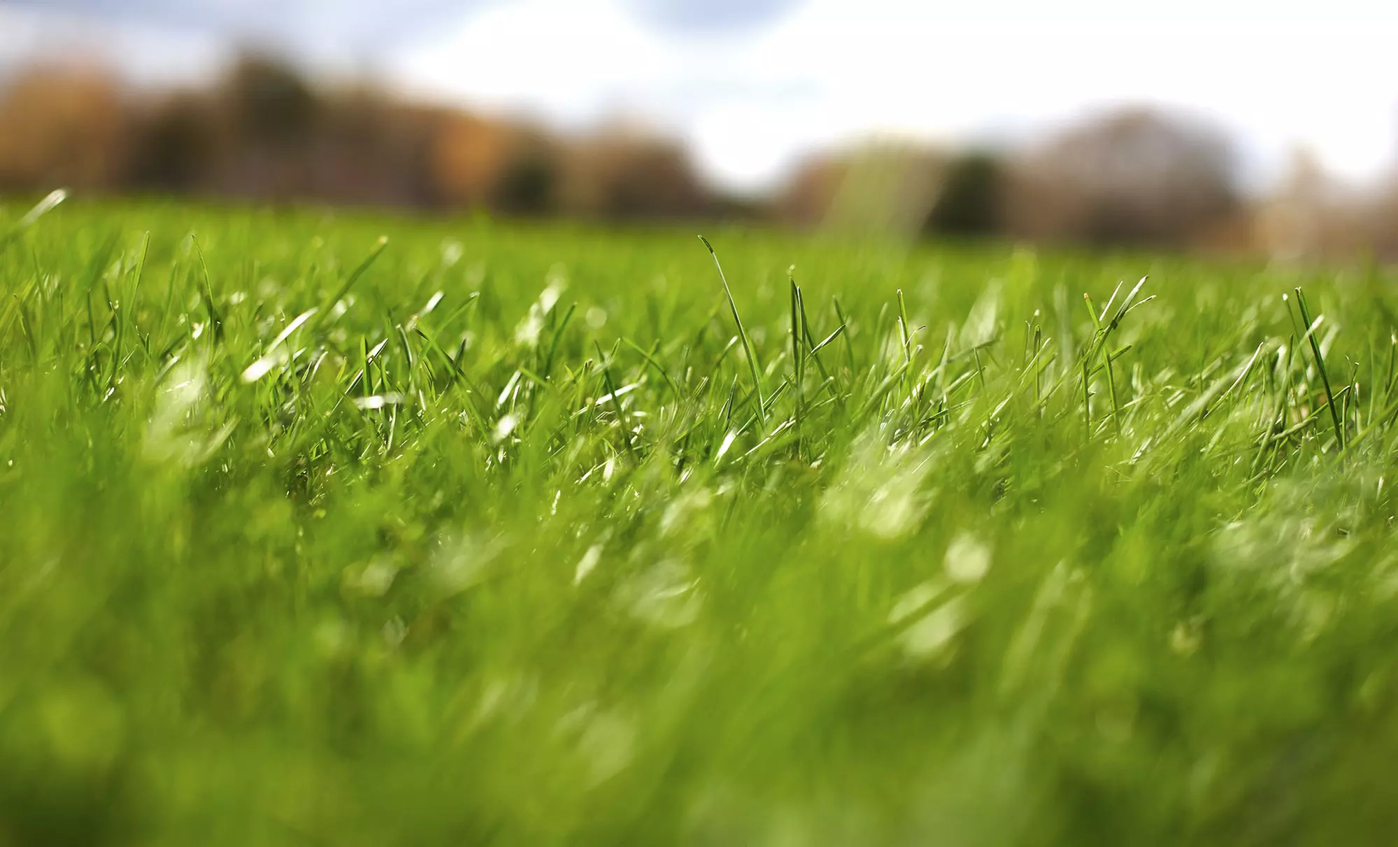One or Two Lawn-Care Sessions from McKinley Lawn and Landscape (Up to 54% Off) - Primary Image