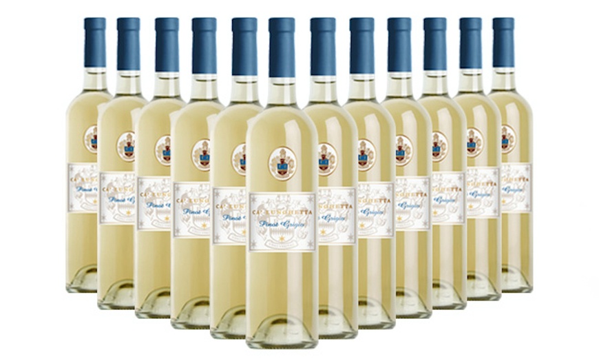 Image 3: 6 o 12 bottiglie di vino Pinot Grigio