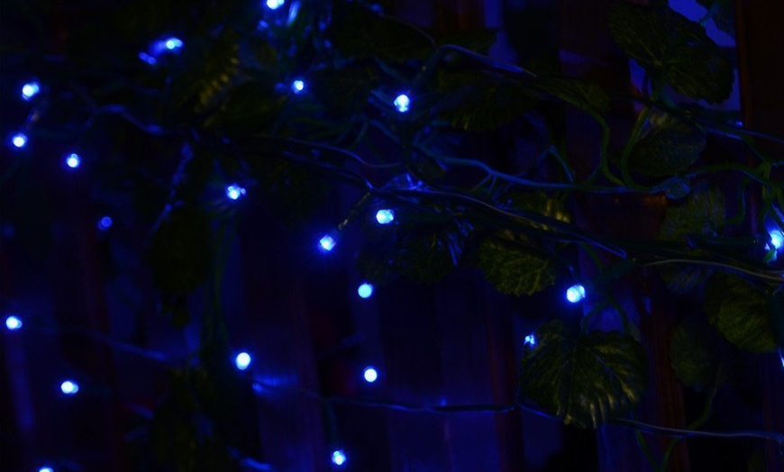 Image 10: Solar LED Light Garland