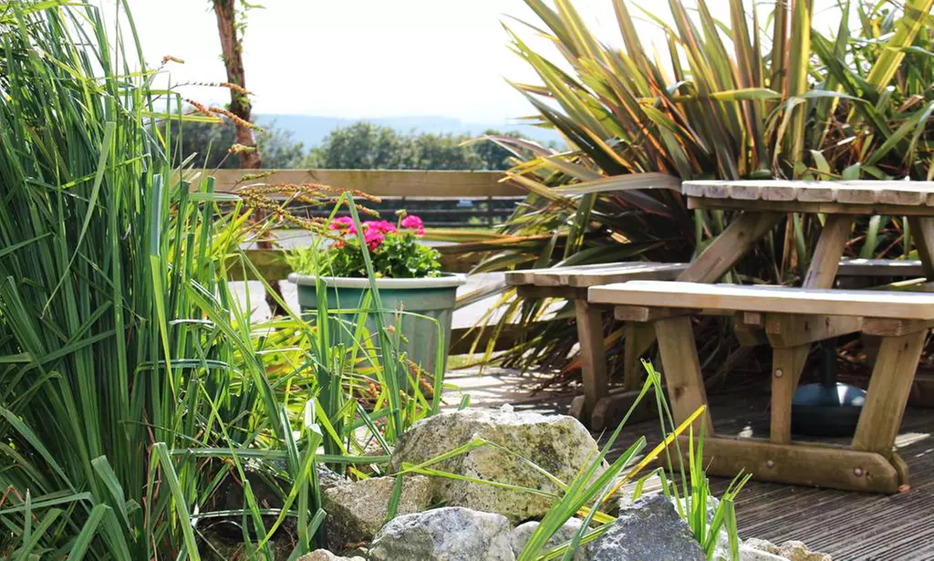 Devon: Two-Night Break with Breakfast, Welcome Drink & More