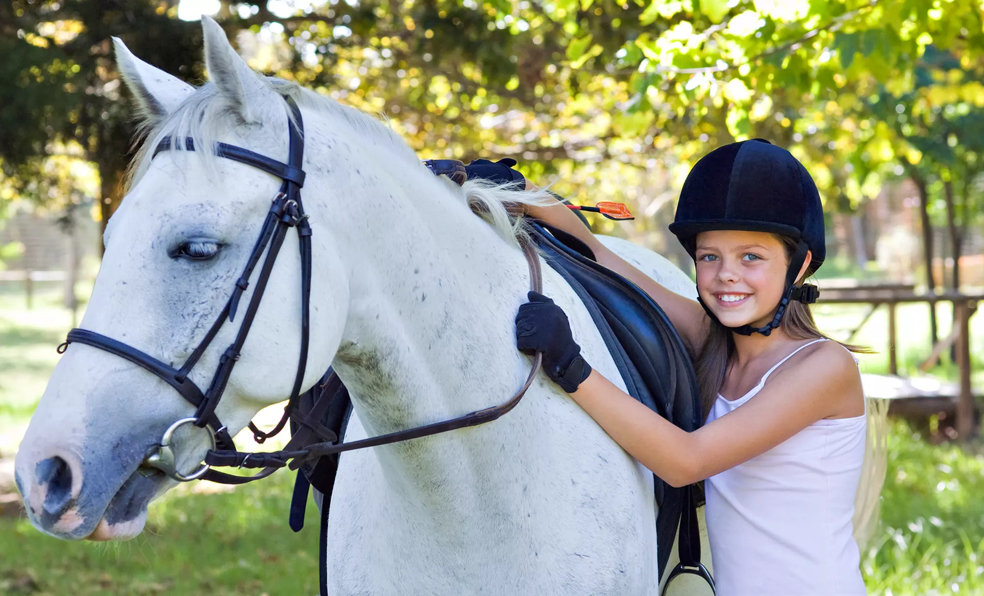 One, Three, or Five Private Horseback-Riding Lessons at Cornerstone (Up to 65% Off) - Primary Image