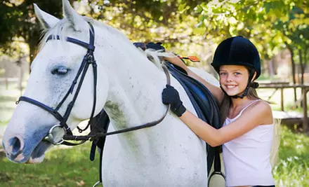 Two, Four, or Six Private Horseback-Riding Lessons at Saddlebrook Ridge Equestrian Center in Shamong (Up to 72% Off)  - Primary Image