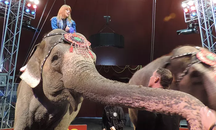 Shrine Circus on August 8–September 21 (Up to 46% Off) - Primary Image