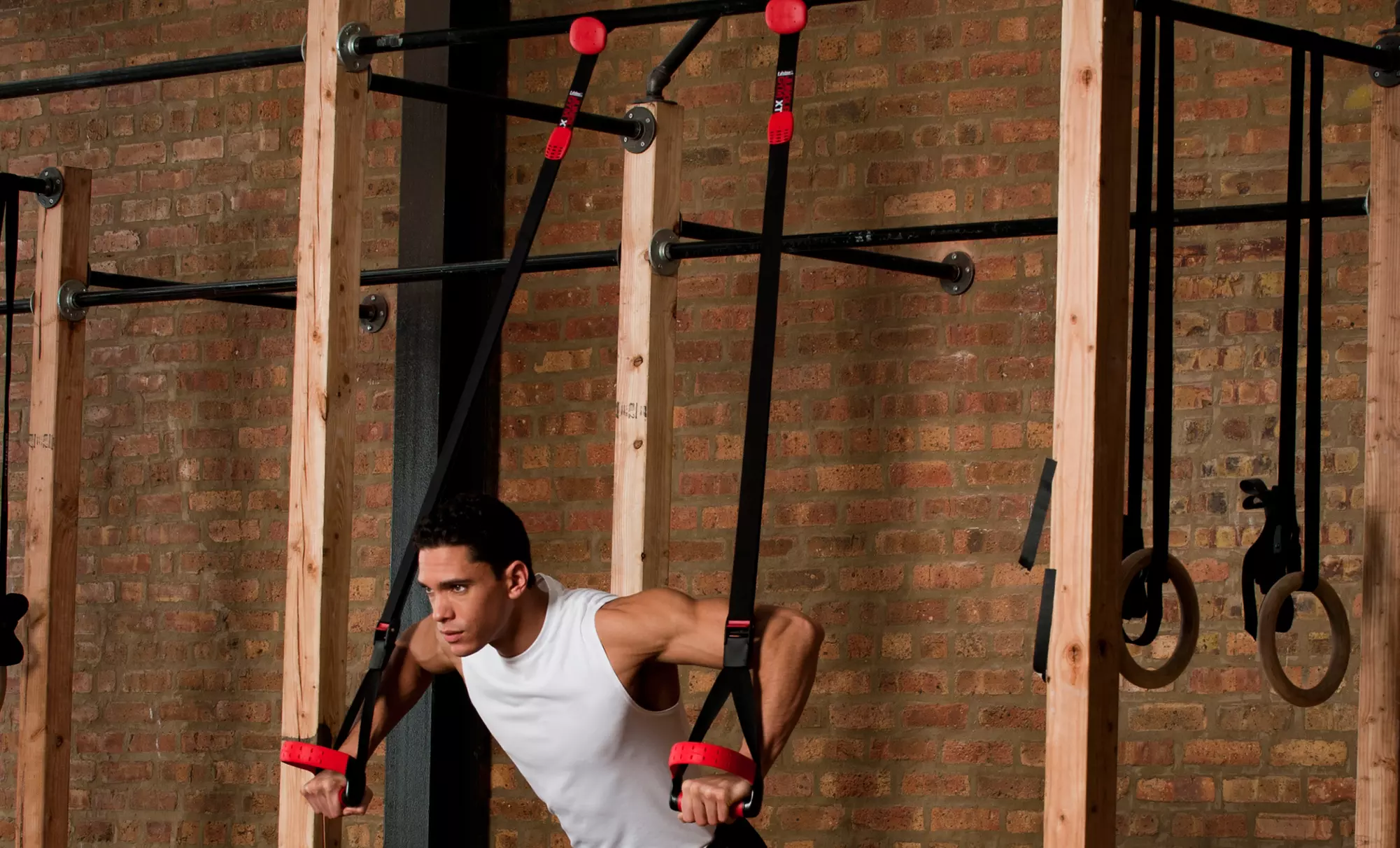 Lifeline Jungle Gym XT Bodyweight Trainer - Primary Image