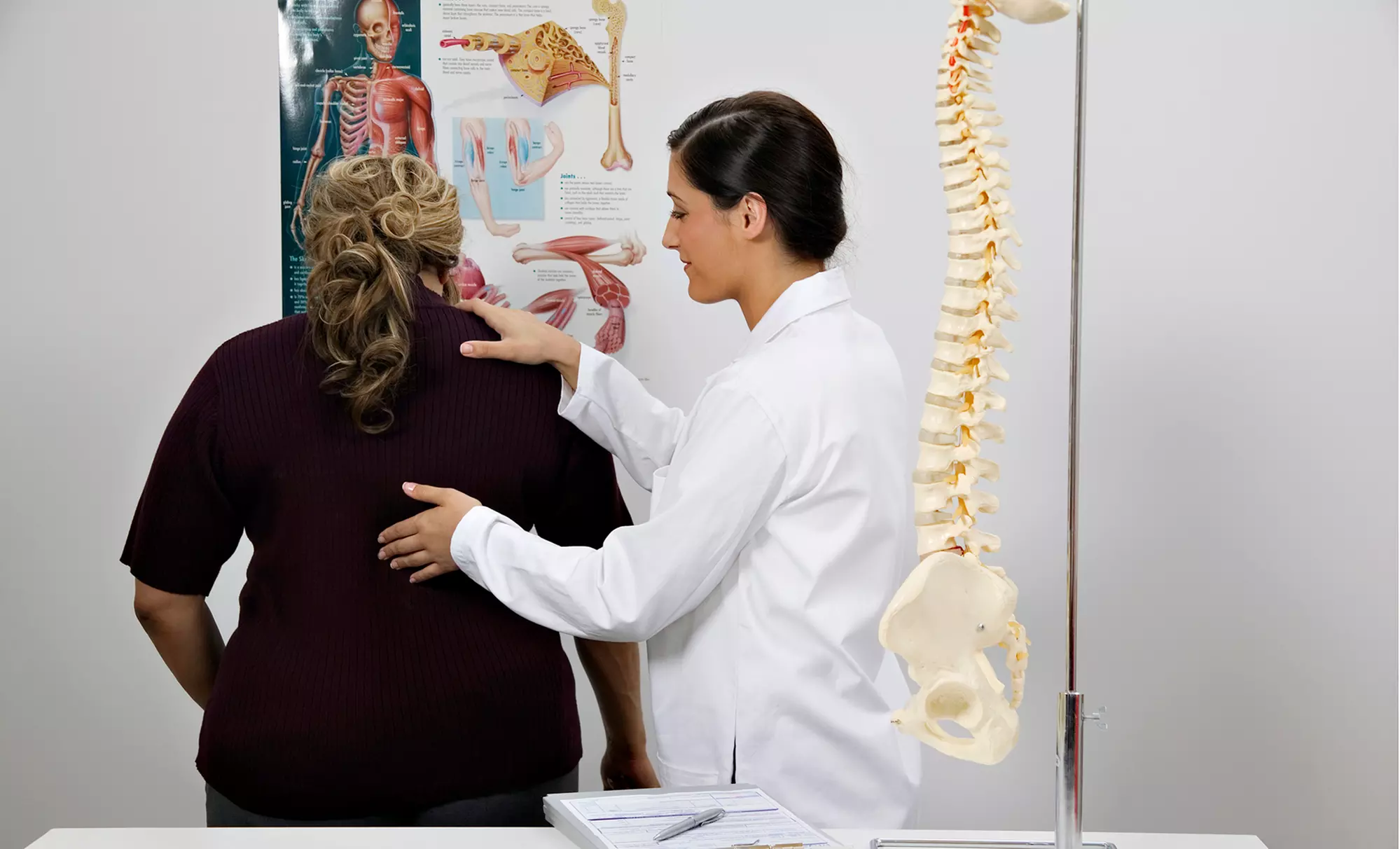 Exam and Decompression Sessions, Computerized Chiropractic Sessions, or Both at Spinewise (Up to 90% Off) - Primary Image