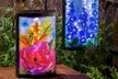 Solar Glass Hanging Lanterns (2- or 3-Pack) - Image 3