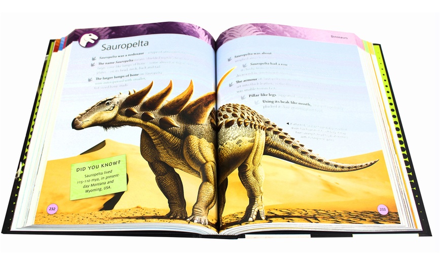 Image 4: Dinosaurs and Prehistoric Life Book