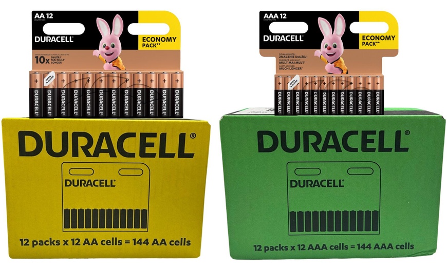 Image 1: 12 x 12 Duracell AA en AAA batterijen 