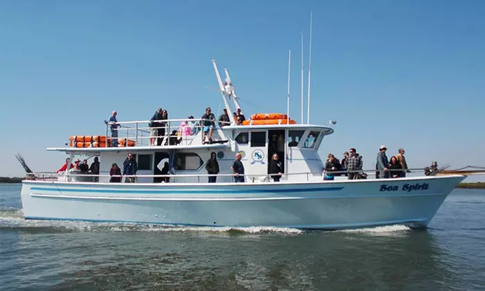 Half-Day or Night Shark Fishing Trip with Tackle for One or Two from Sea Spirit Fishing (Up to 54% Off) - Primary Image
