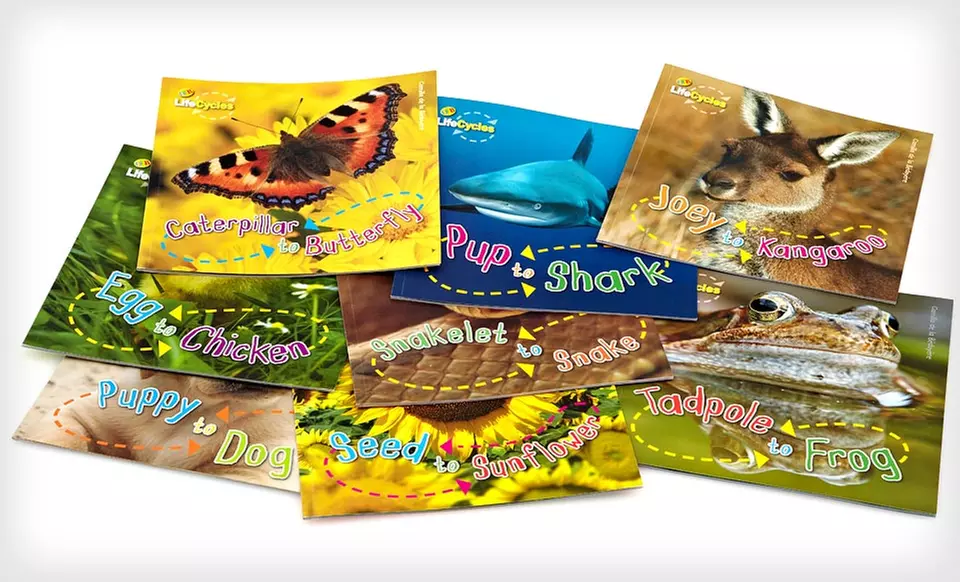 $11.99 for a LifeCycles 8-Book Children's Set ($79.95 List Price) - Primary Image