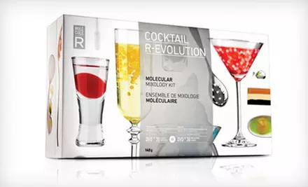 $29 for a Molecule-R Gastronomy Kit or Cocktail Kit with Silicone Mold ($77.90 List Price) - Primary Image