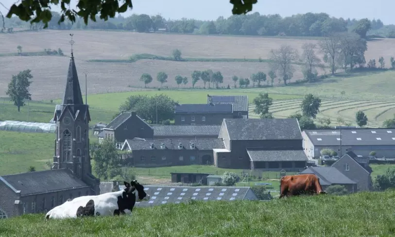 Schinveld bei Limburg: 1-3 Nächte für Zwei, opt. mit Romantik-Paket, im Landgoed Schinvelderhoeve - Primary Image
