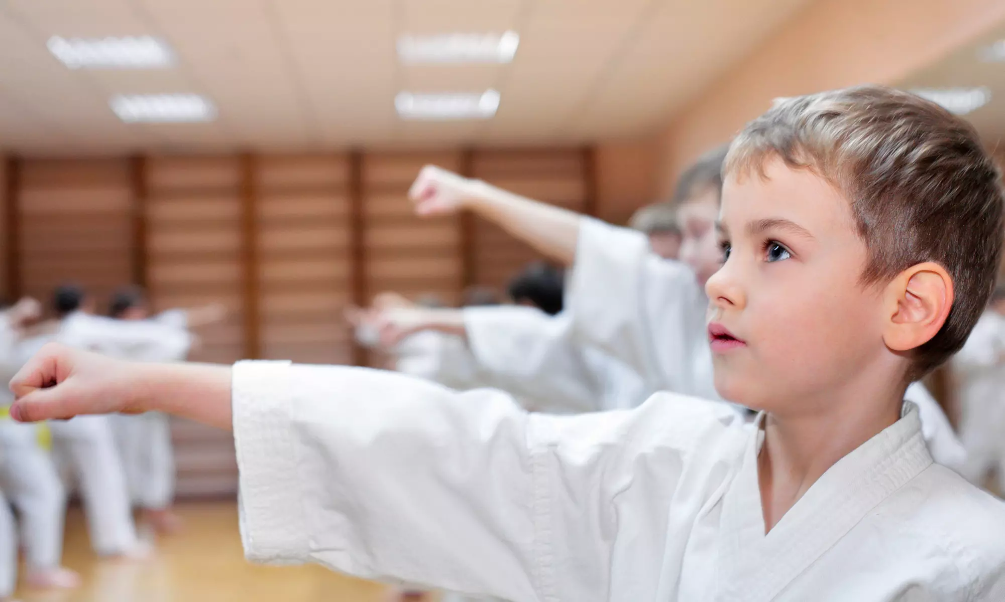 $40.50 for One Month of Kids' Karate Classes at Willoughby Martial Arts Academy ($79 Value) - Primary Image