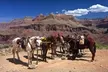 Two-Night Stay at Grand Canyon Ranch in Northwestern Arizona - Second Medium