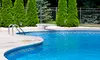 $79 Pool Cleaning from Heritage Painters (C$239 Value)